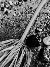 Load image into Gallery viewer, Palm Branch