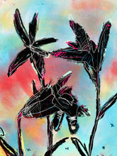 Load image into Gallery viewer, Black lily