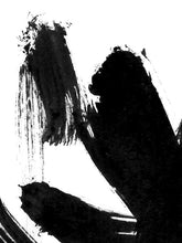 Load image into Gallery viewer, Black and White Contrast