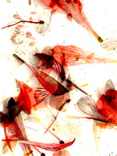 Load image into Gallery viewer, Flower 66_0003