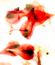Load image into Gallery viewer, Flower XRay Pedals