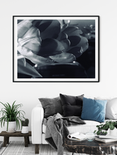 Load image into Gallery viewer, Morning Flower