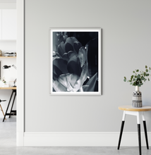 Load image into Gallery viewer, Morning Flower